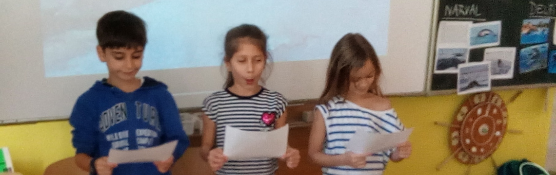 Týmový den 3. A: Mořští savci - kytovci