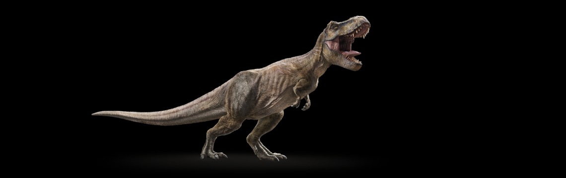 Najdi ve škole dinosaura a navrhni jeho jméno
