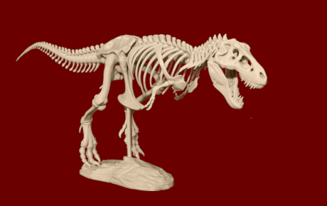 Najdi ve škole dinosaura a navrhni jeho jméno