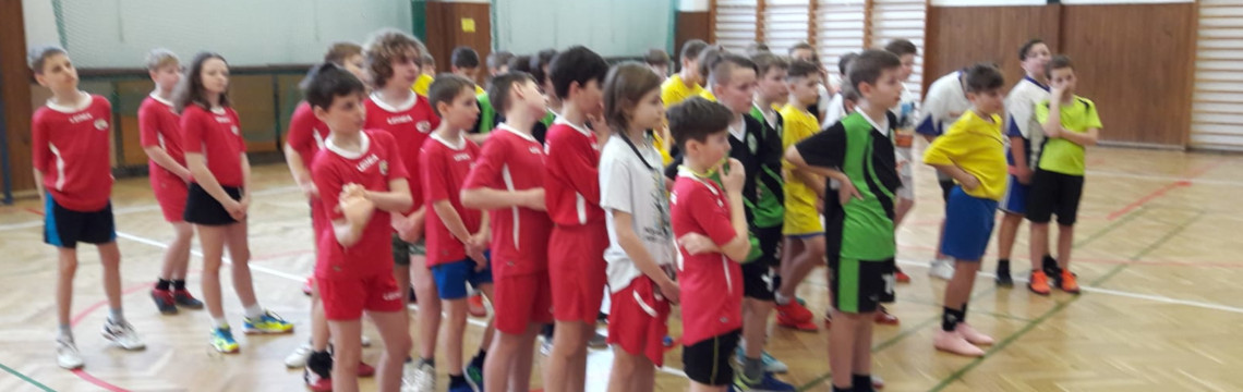 Semifinále ve vybíjené