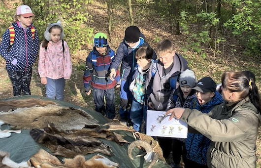 3.A dnes v lese na lesní pedagogice 🌲